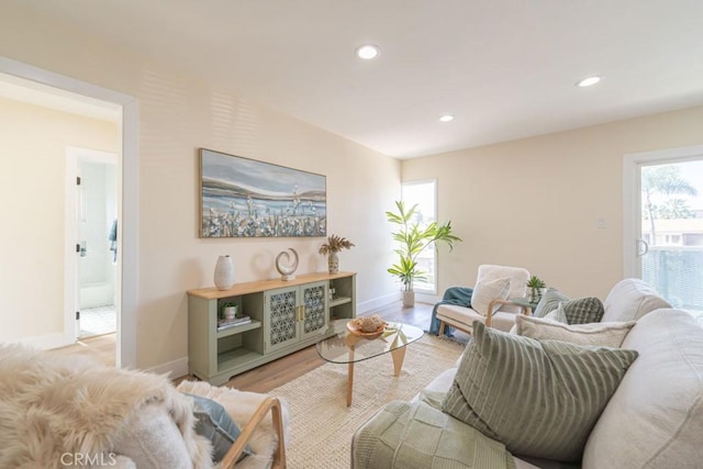 living room with light wood-type flooring