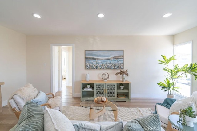 living room with light wood-type flooring