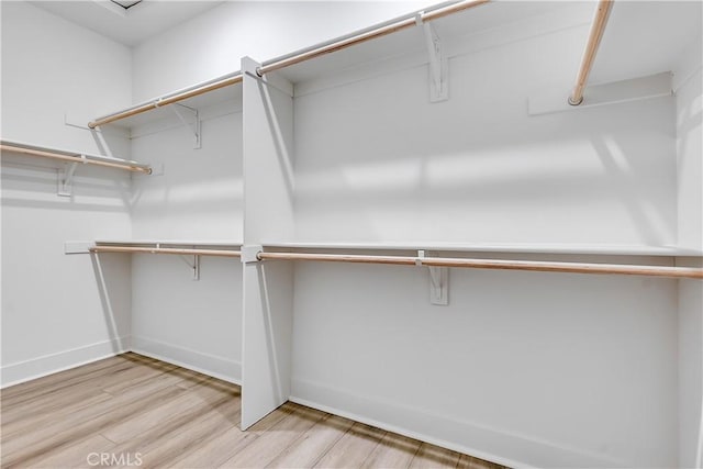 spacious closet featuring light hardwood / wood-style floors