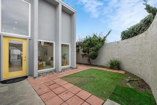 view of yard featuring a patio area