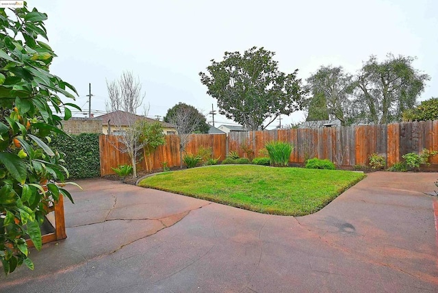 view of yard with a patio area