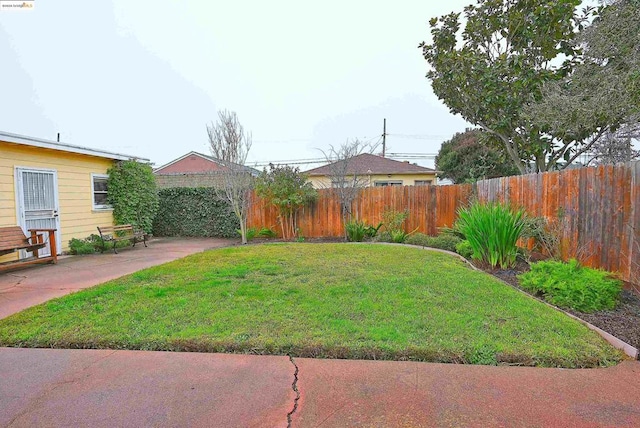 view of yard featuring a patio area