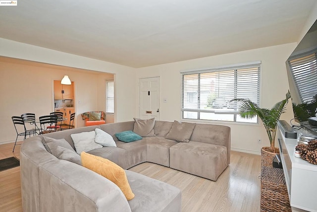 living room featuring light hardwood / wood-style floors