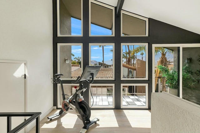 workout room with lofted ceiling and wood-type flooring