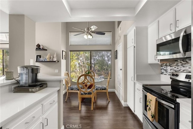 kitchen with appliances with stainless steel finishes, a wealth of natural light, white cabinetry, dark hardwood / wood-style flooring, and decorative backsplash