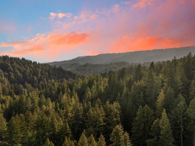 property view of mountains