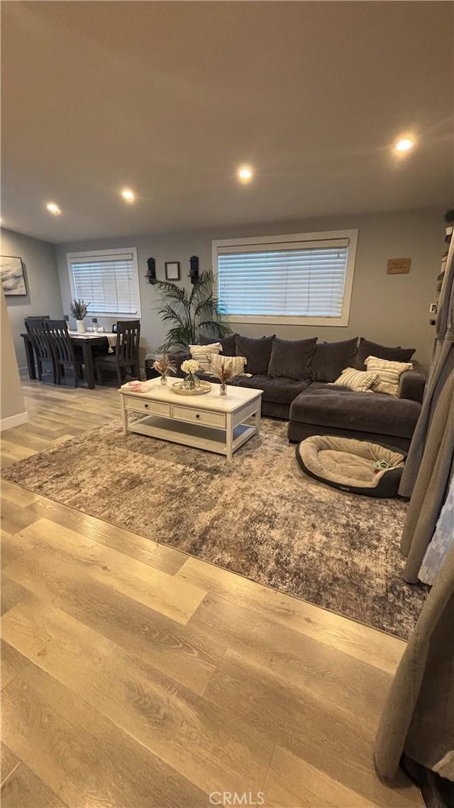 living room featuring hardwood / wood-style flooring