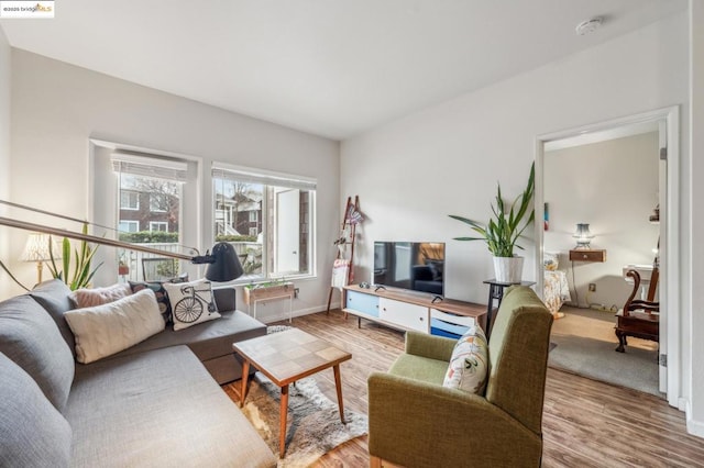 living room with hardwood / wood-style floors