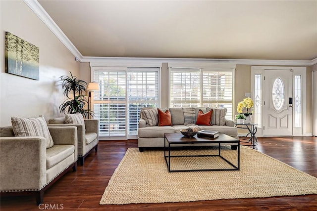 living room with ornamental molding and dark hardwood / wood-style floors