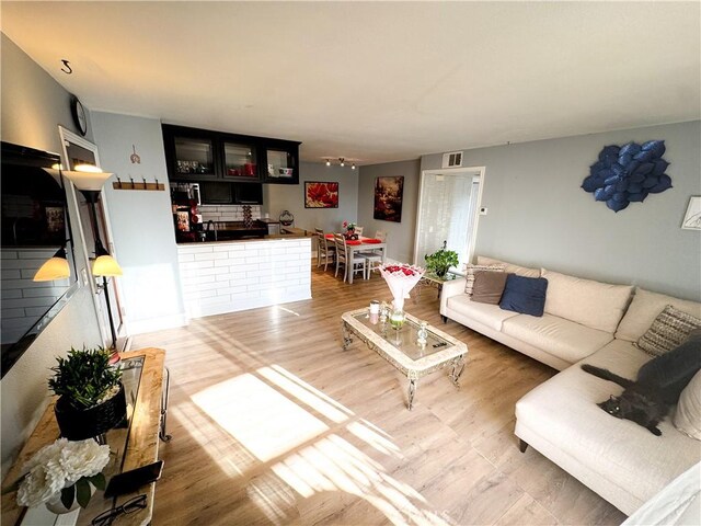 living room featuring sink and wood-type flooring