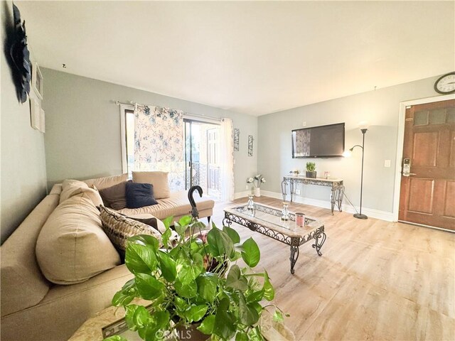 living room featuring light hardwood / wood-style flooring