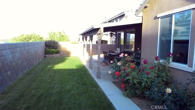 view of yard featuring a patio area