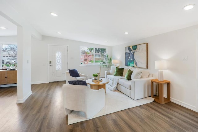 living room featuring hardwood / wood-style flooring, vaulted ceiling, and a baseboard radiator