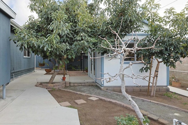 view of yard featuring a patio area