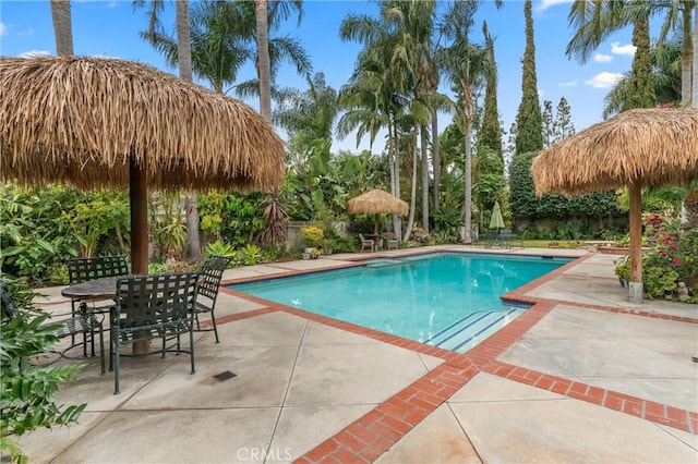 view of swimming pool with a patio