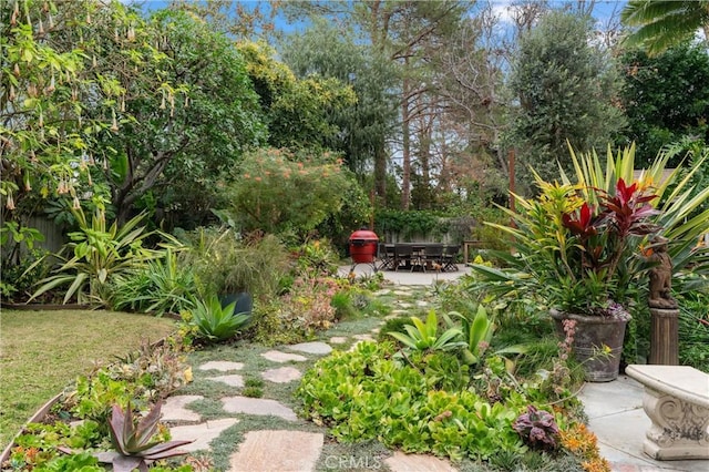 view of yard featuring a patio area