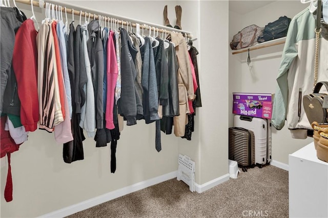 walk in closet with carpet flooring