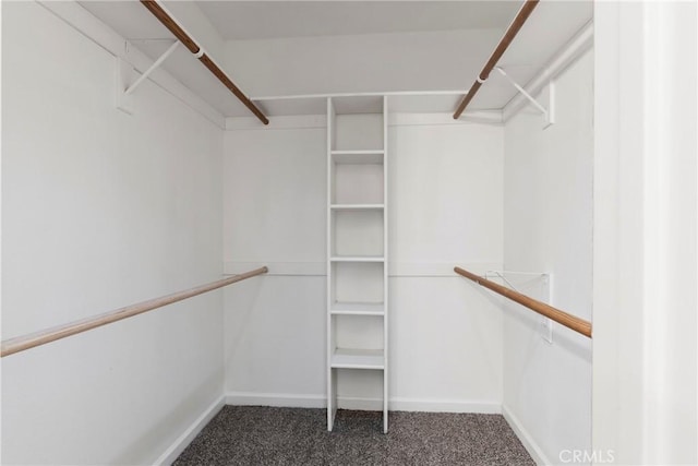 walk in closet with dark carpet