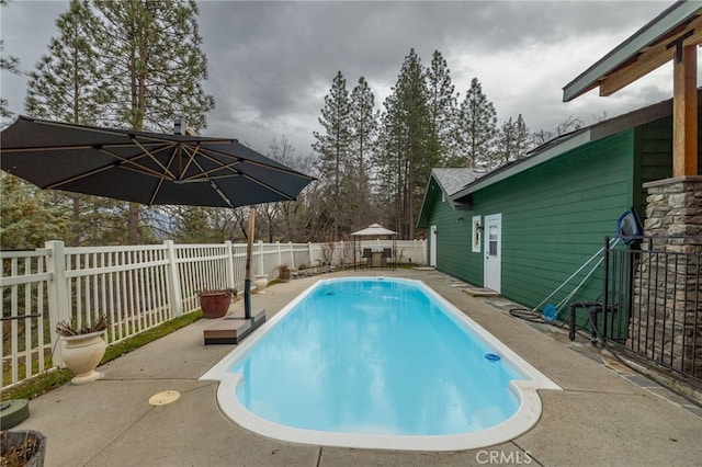 view of pool with a patio area