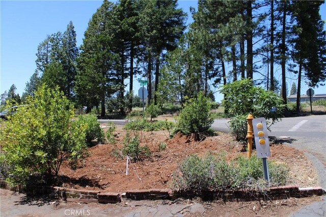 13915 Andover Dr, Magalia, CA 95954 - photo 15