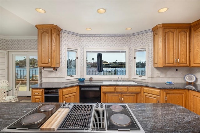 kitchen featuring sink, black appliances, dark stone counters, and a water view