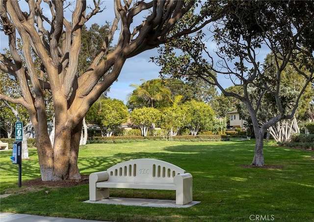 view of home's community with a yard