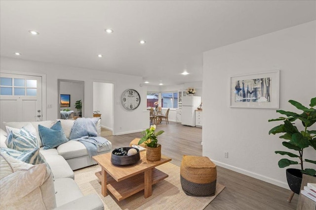 living room featuring wood-type flooring