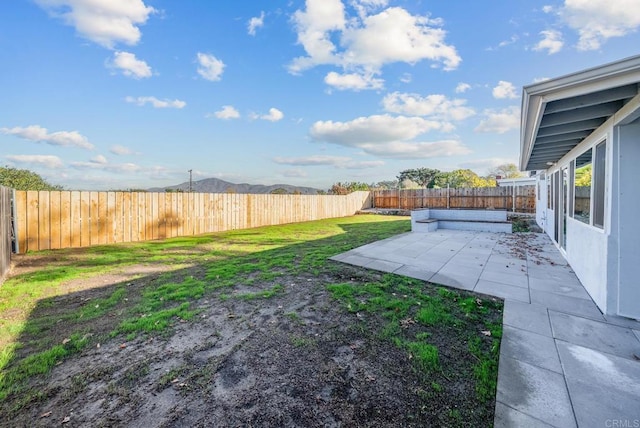 view of yard with a patio area