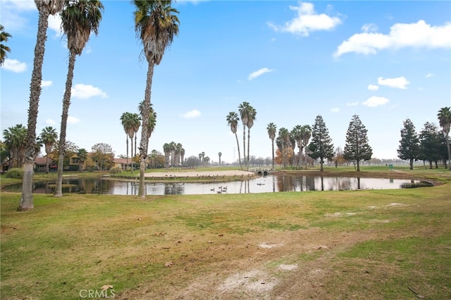 view of community featuring a water view and a lawn