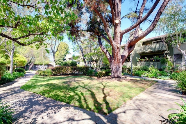 view of community with a yard