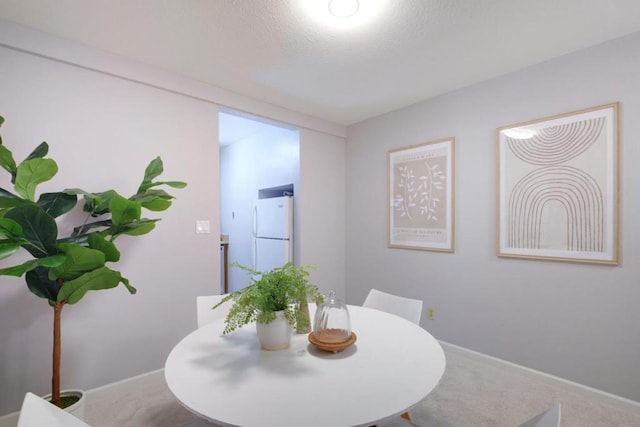 dining room featuring carpet