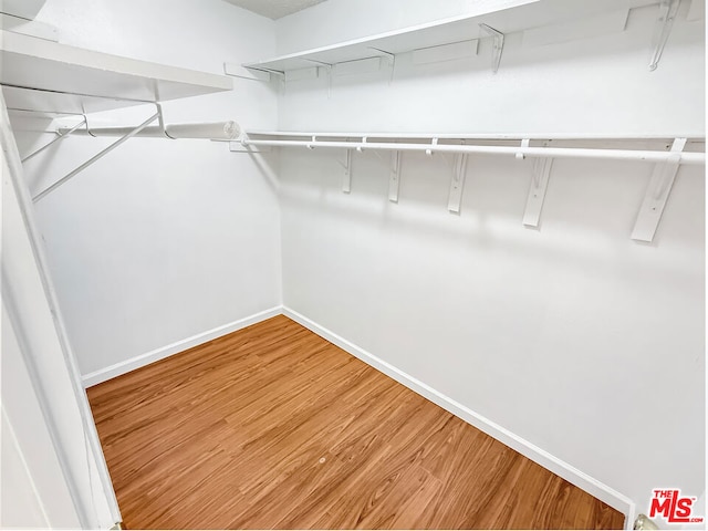 walk in closet featuring hardwood / wood-style floors