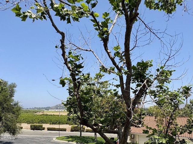 2713 Antonio Dr Unit 104, Camarillo, CA 93010 - view of home's community