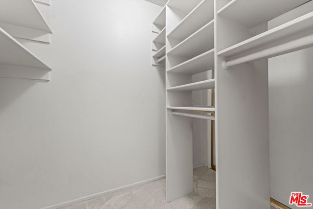 walk in closet featuring light colored carpet