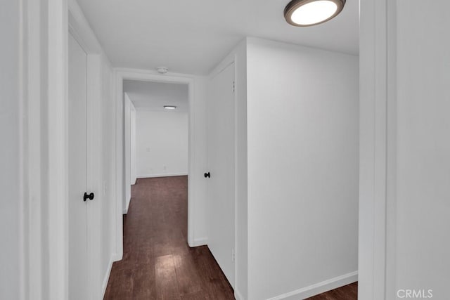 hallway featuring dark hardwood / wood-style flooring