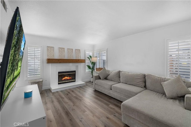 living room featuring wood-type flooring