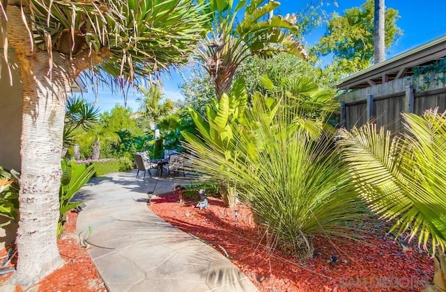 view of yard featuring a patio