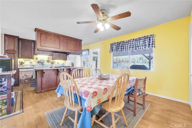 dining space with ceiling fan and light hardwood / wood-style flooring