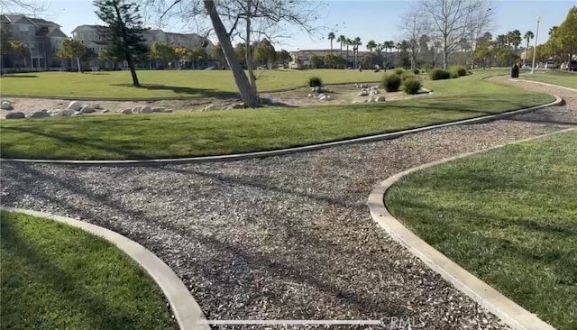 view of community featuring a yard