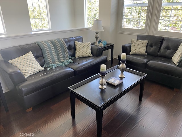 living room with wood-type flooring