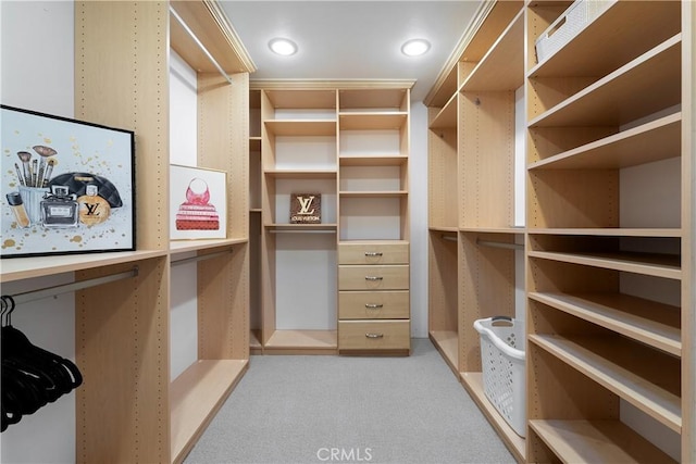 spacious closet featuring light carpet