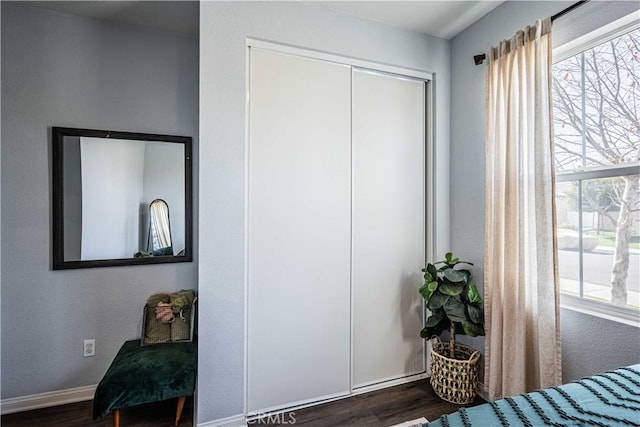 bedroom featuring dark hardwood / wood-style flooring and a closet