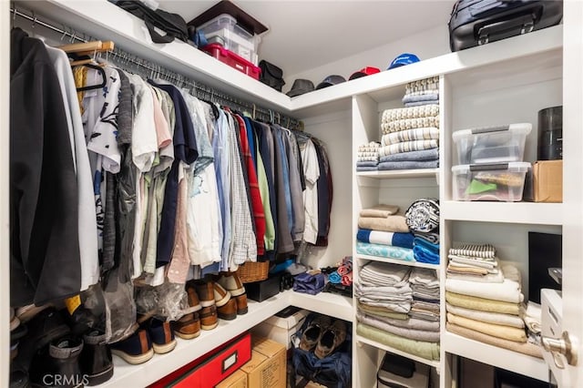 view of spacious closet