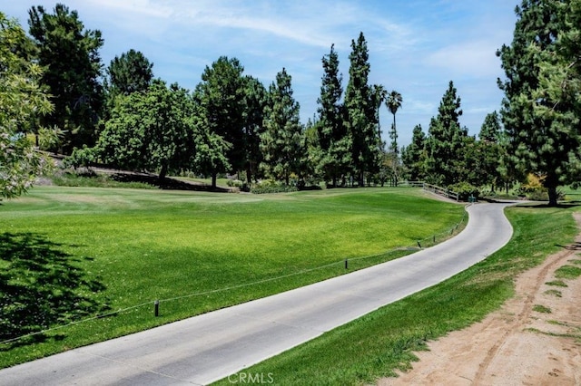 view of property's community with a yard