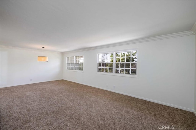 empty room with crown molding and carpet floors