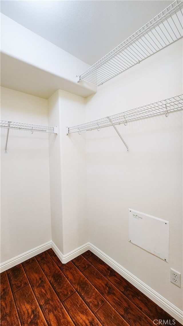 walk in closet featuring dark hardwood / wood-style floors