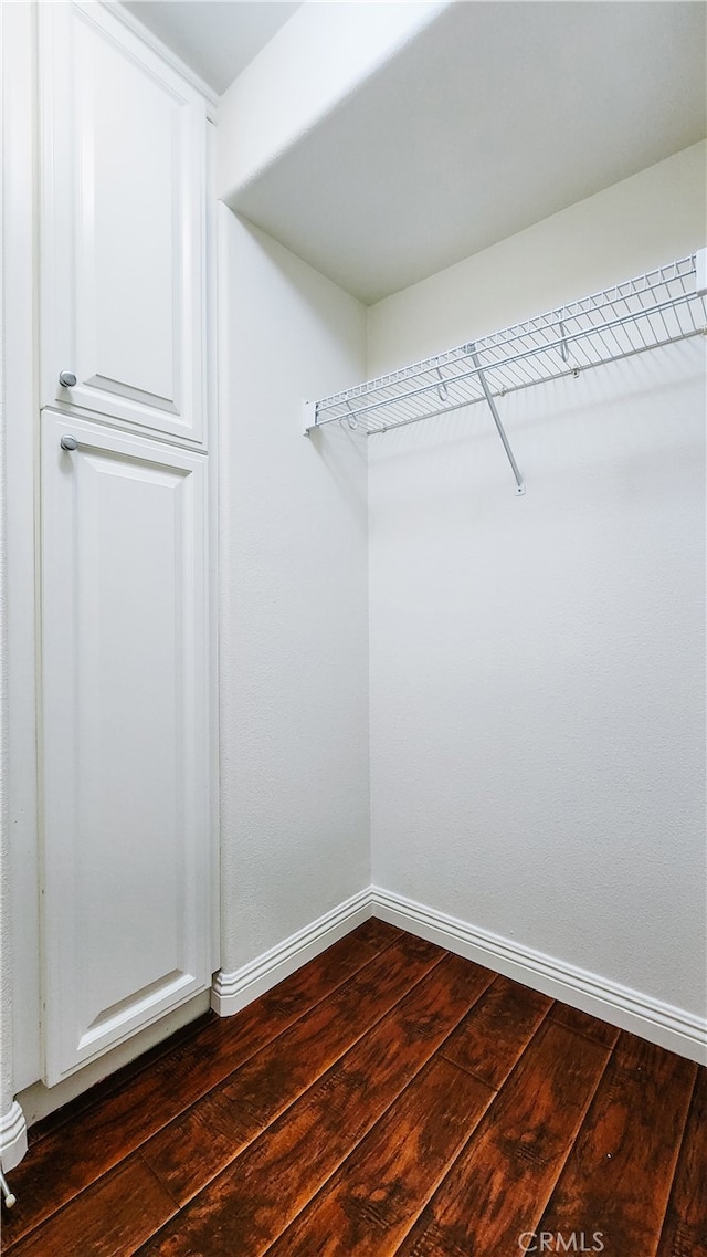 walk in closet with dark hardwood / wood-style flooring