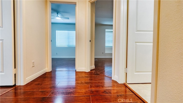 corridor with dark wood-type flooring