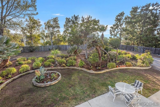 view of yard with a patio