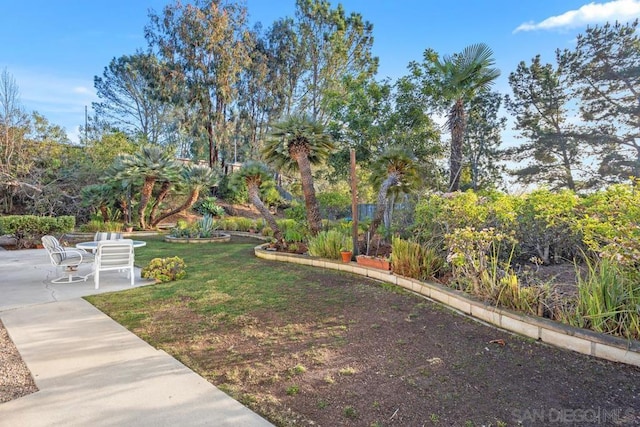 view of yard featuring a patio